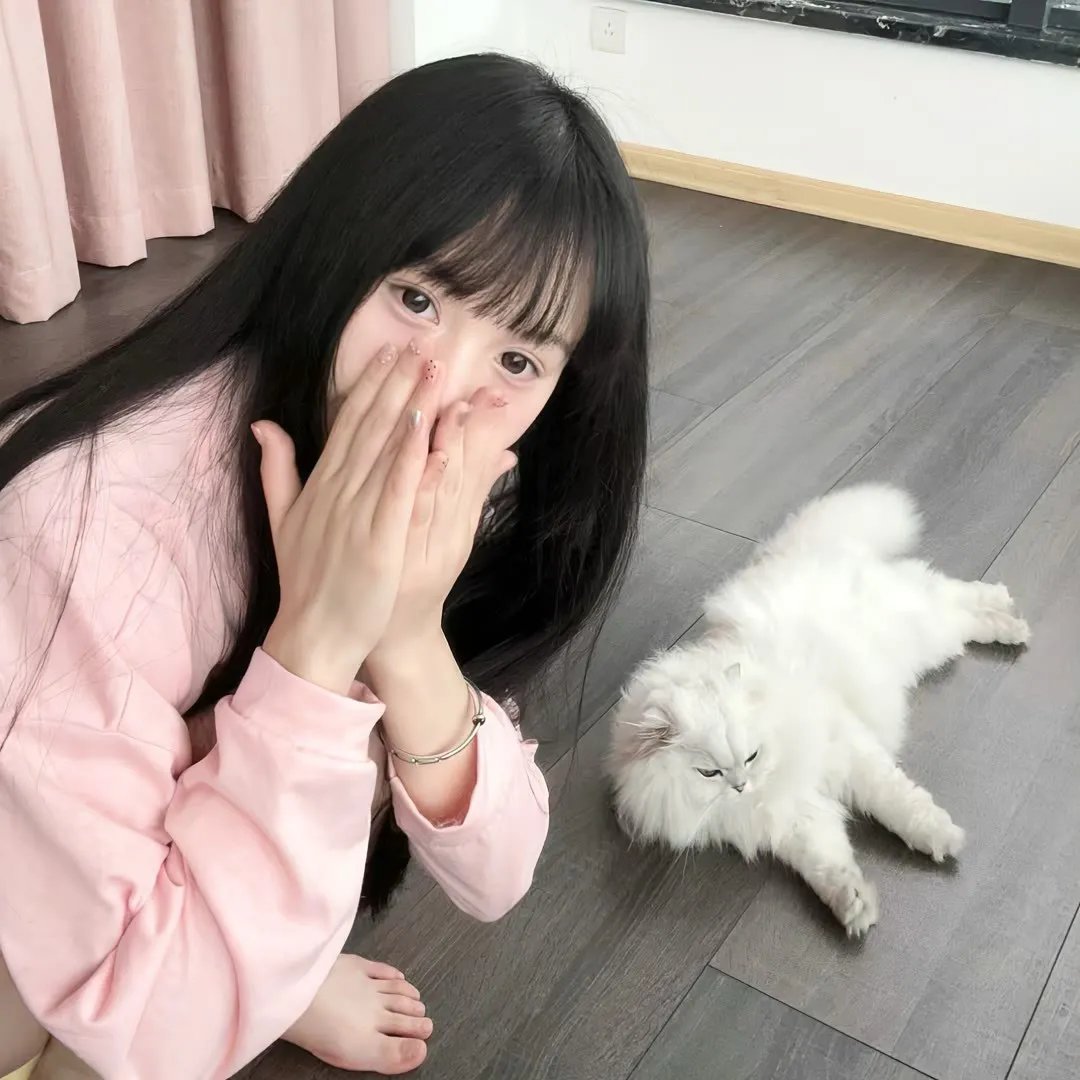 隔离但平等